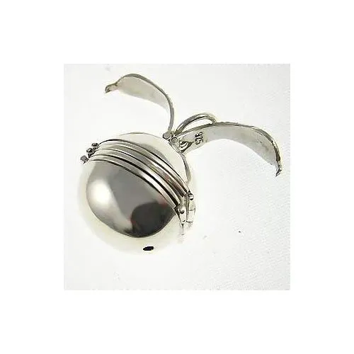 Large Photo Ball Locket (6 Photos)
